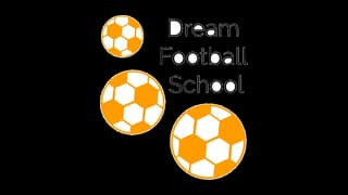 Dream Football School logo